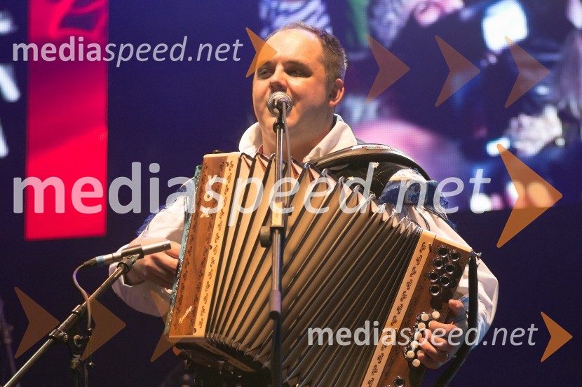 Rok Švab, član ansambla ModrijaniRadio City, koncert 2013