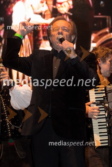 Alfi Nipič, pevecRadio City, koncert 2013