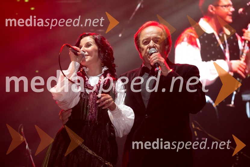 ...;&nbsp;Alfi Nipič, pevecRadio City, koncert 2013