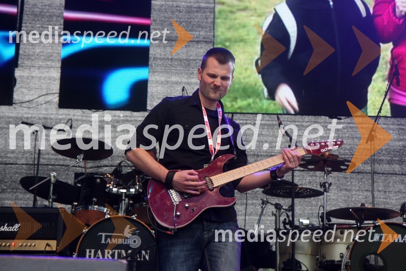 Radio City, koncert 2013