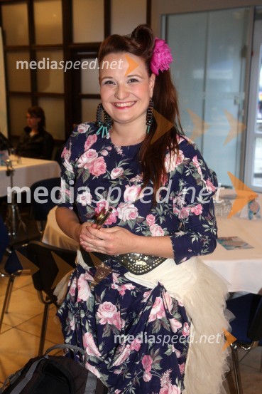 Radio City, koncert 2013