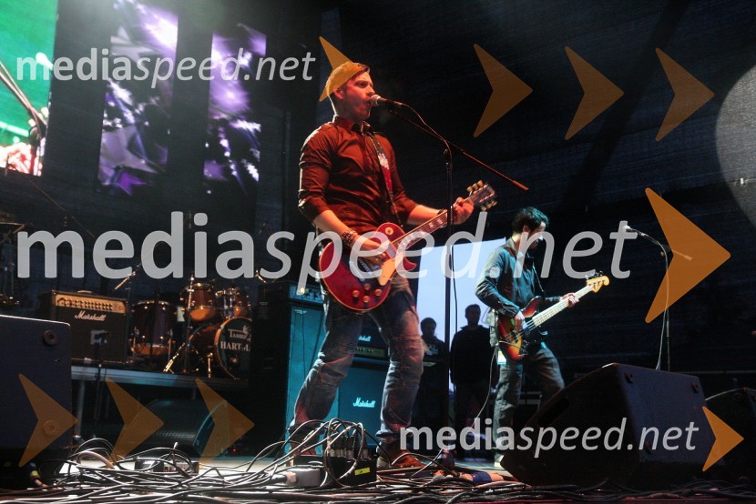 Član skupine CoverLoverRadio City, koncert 2013