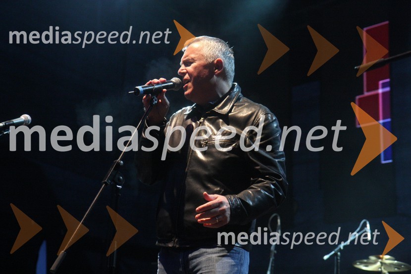 Zoran Predin, glasbenikRadio City, koncert 2013