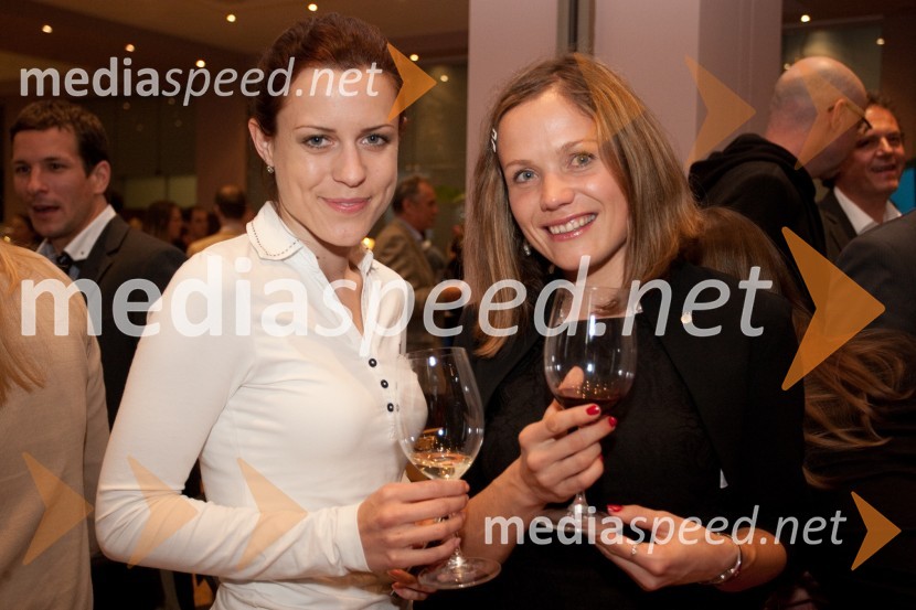 Lea Štumberger, Mreža idej; ...Mreža idej, pogovor o razvojnih reformah: Kdo se boji sprememb?