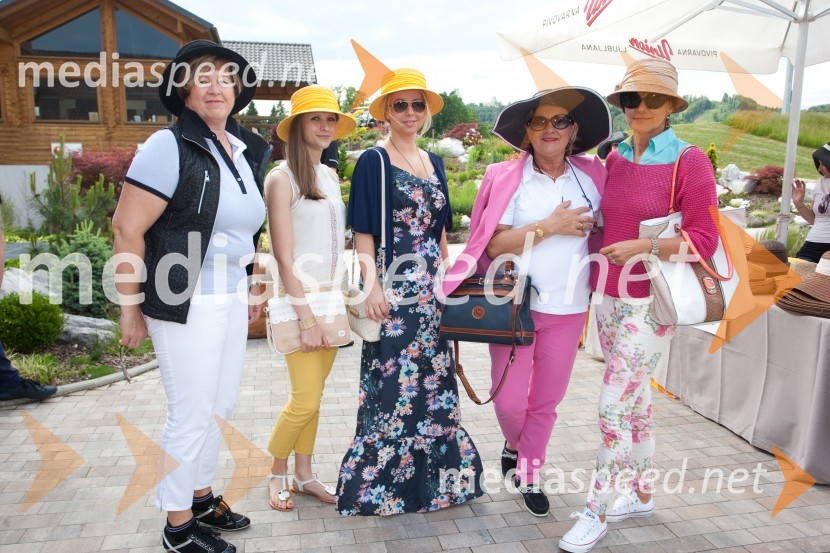 Lady piknik pod klobuki 2013