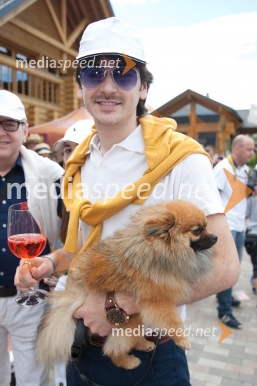 Samo Kozlevčar, glasbenikLady piknik pod klobuki 2013