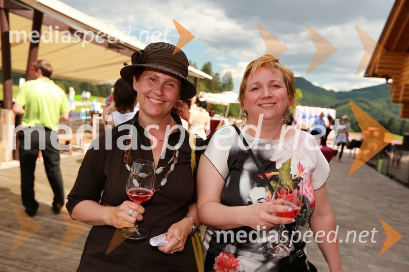 Lady piknik pod klobuki 2013