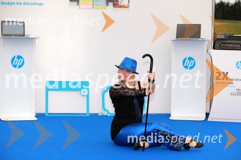 Lady piknik pod klobuki 2013