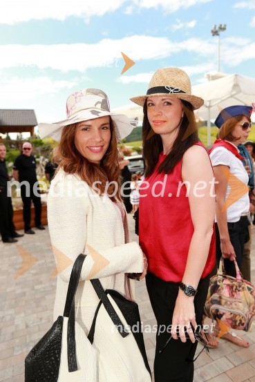 Milena Kalacun Lapajne, Hubmedia; Nina Urbančič Romih, MediazooLady piknik pod klobuki 2013