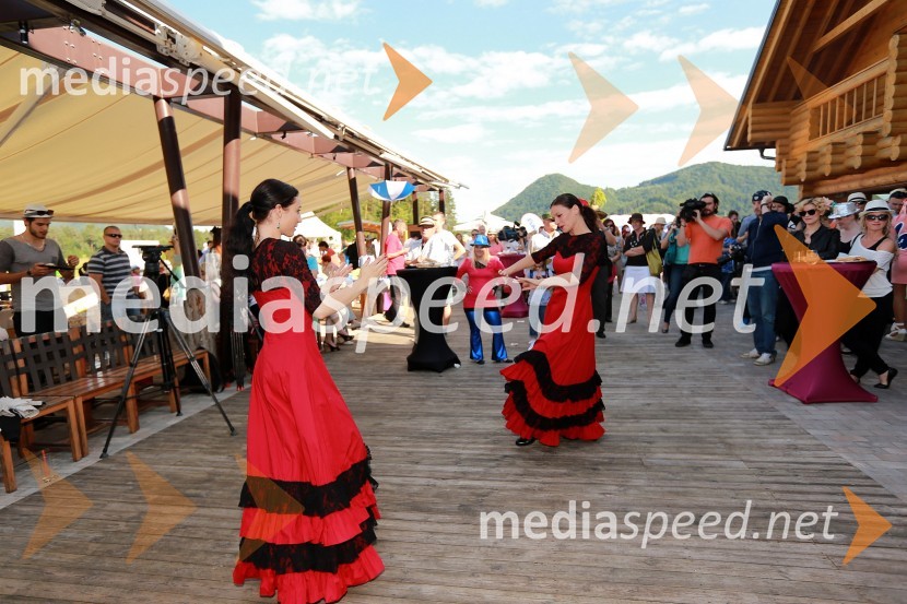 Lady piknik pod klobuki 2013