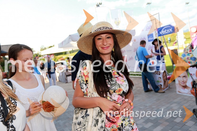 Tanja Vidic Goršak, TV VeseljakLady piknik pod klobuki 2013