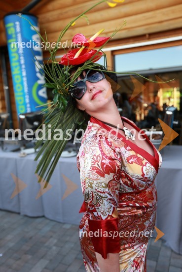 Katja Jurgec Bricman, Porcelan CatbryurLady piknik pod klobuki 2013