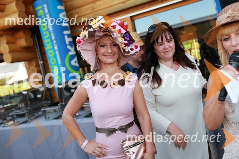 Maja Debelak, Dobra vila MajaLady piknik pod klobuki 2013