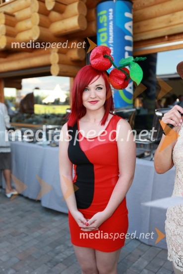 Tjaša DestvenšekLady piknik pod klobuki 2013