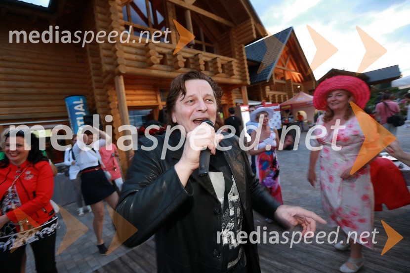 Danijel Popović, pevecLady piknik pod klobuki 2013