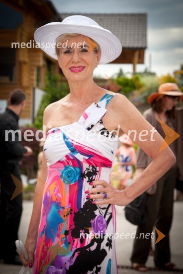 Metka Premerl, slavistkaLady piknik pod klobuki 2013