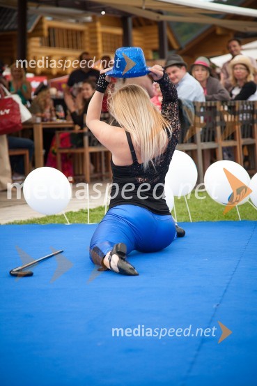 Lady piknik pod klobuki 2013