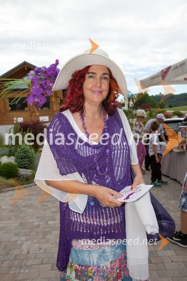 Lady piknik pod klobuki 2013