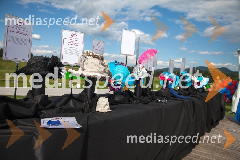 Lady piknik pod klobuki 2013