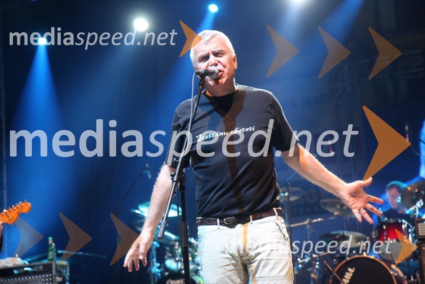 Zoran Predin, glasbenikPiše se leto 2013