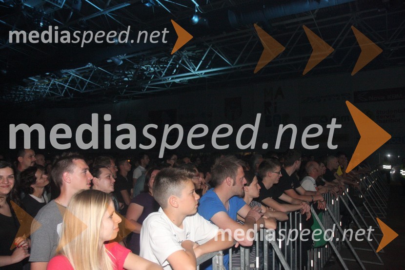 ObiskovalciPiše se leto 2013