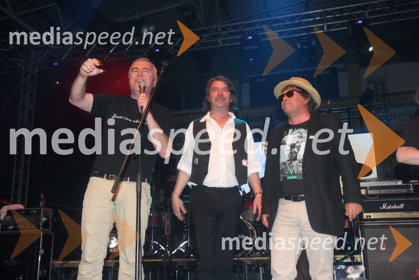 Zoran Predin, glasbenik; Magnifico, glasbenik;&nbsp;Peter Lovšin, pevecPiše se leto 2013