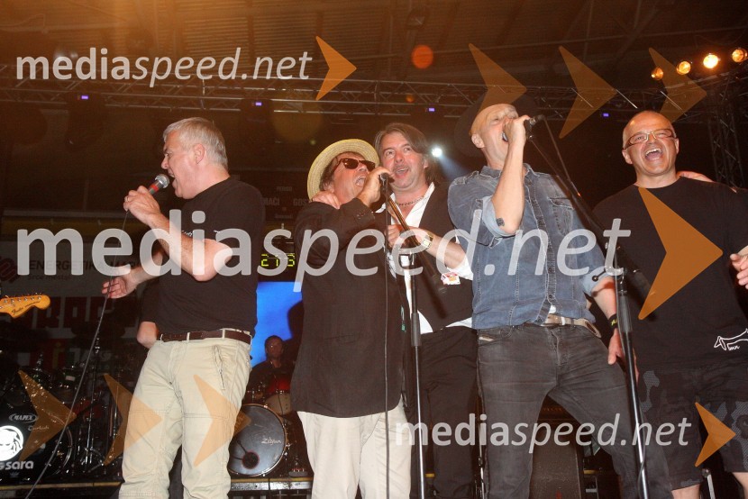 Zoran Predin, glasbenik;&nbsp;Peter Lovšin, pevec;&nbsp;Magnifico, glasbenik; Vlado Kreslin, pevec; Marko Vezovišek, režiserPiše se leto 2013