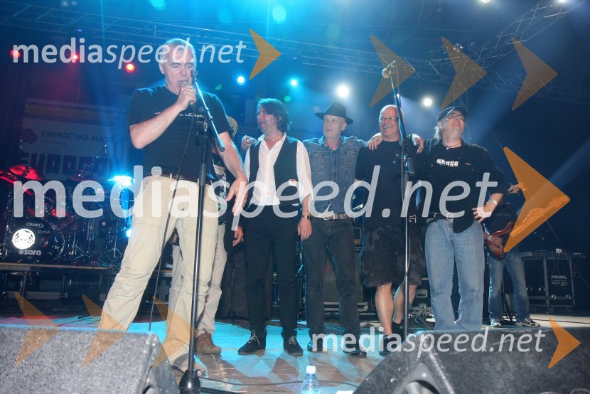 Zoran Predin, glasbenik; Magnifico, glasbenik; Vlado Kreslin, pevec; Marko Vezovišek, režiser;&nbsp;Iztok Jančič, kitaristPiše se leto 2013