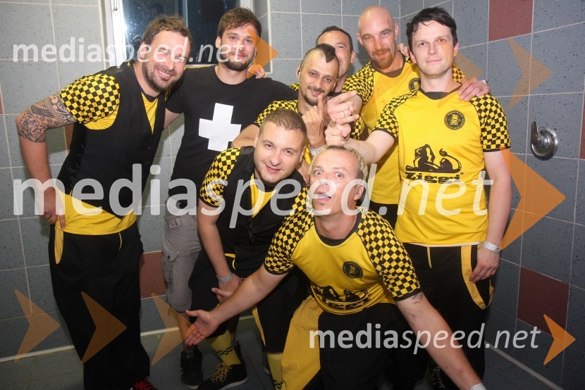 Skupina Dubioza kolektivPiše se leto 2013