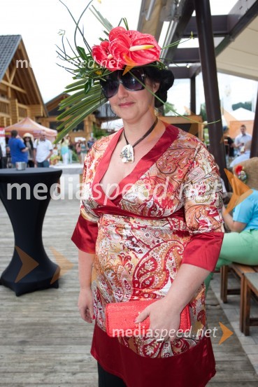 Lady piknik pod klobuki 2013