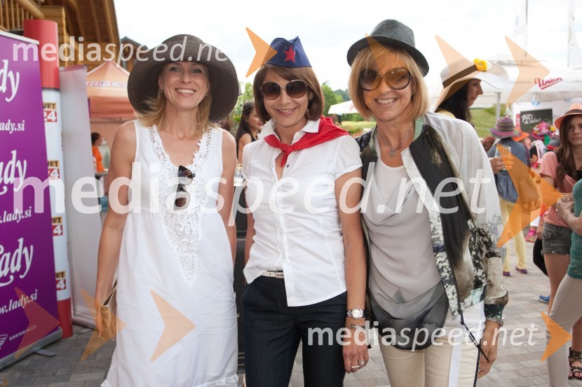 Lady piknik pod klobuki 2013