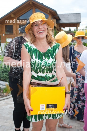 Lady piknik pod klobuki 2013