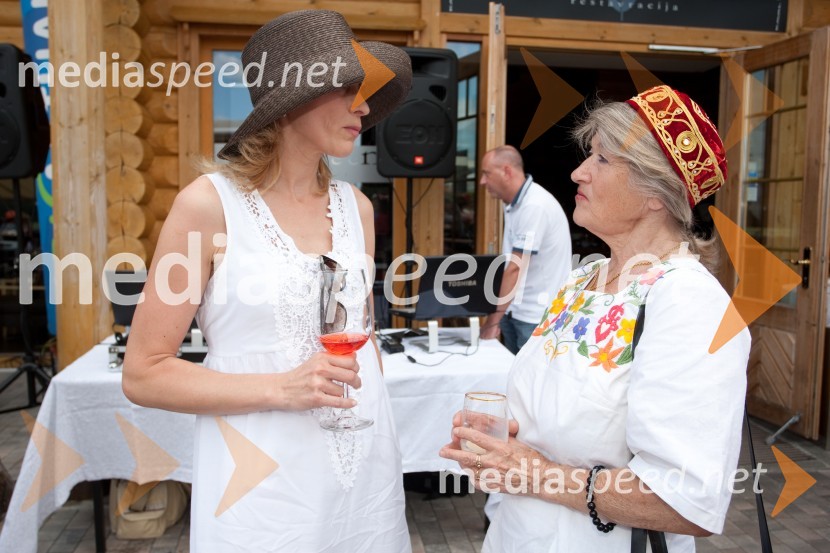 Lady piknik pod klobuki 2013