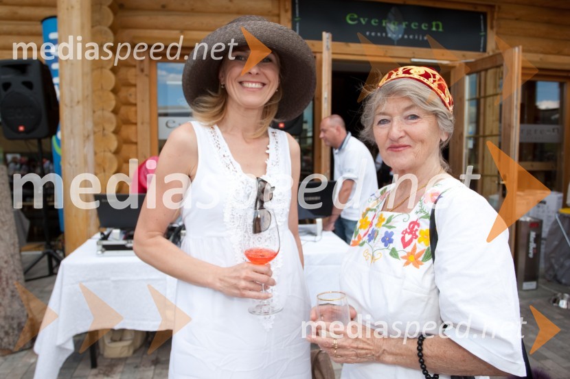 Lady piknik pod klobuki 2013