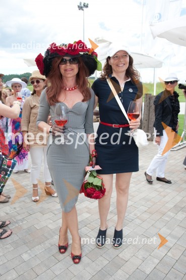 Lady piknik pod klobuki 2013