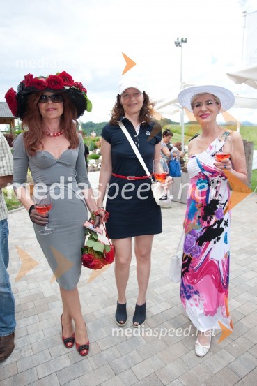 Lady piknik pod klobuki 2013