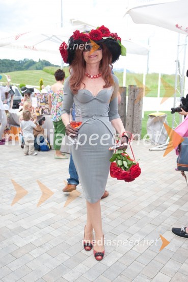 Lady piknik pod klobuki 2013