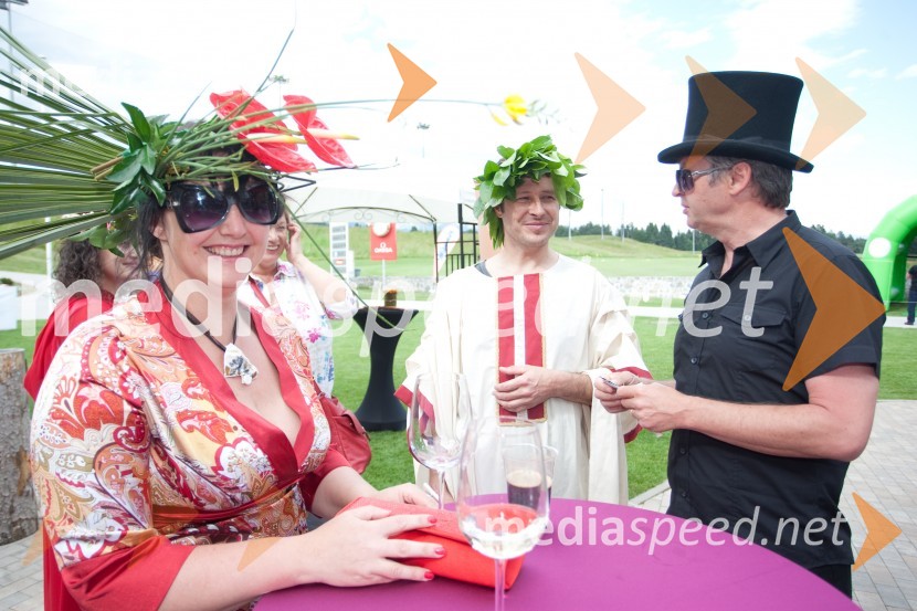 Lady piknik pod klobuki 2013