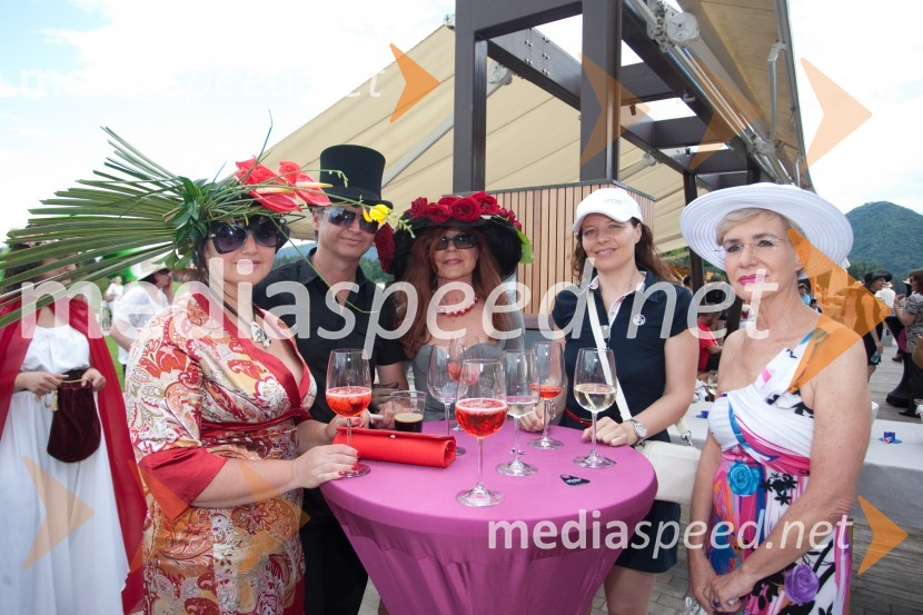 Lady piknik pod klobuki 2013