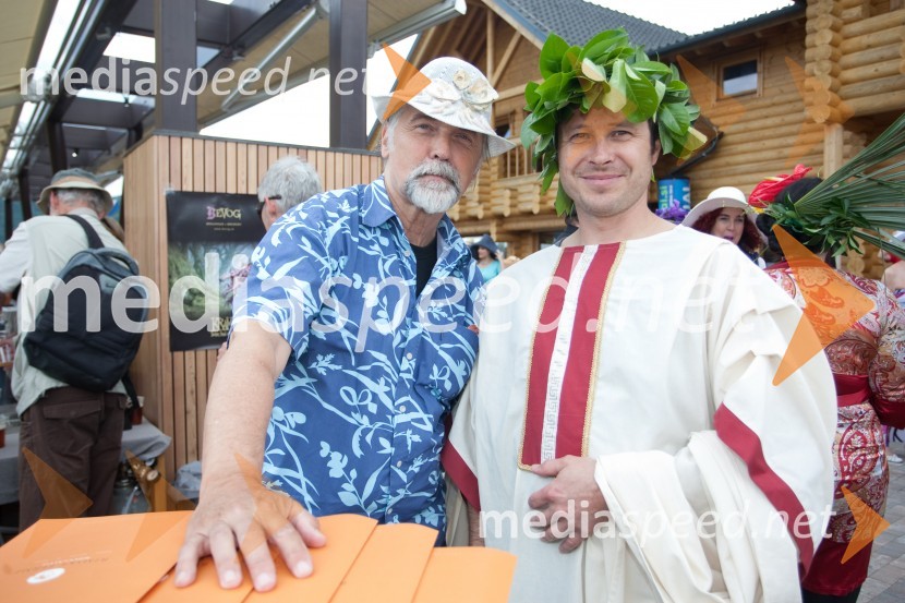 Lady piknik pod klobuki 2013