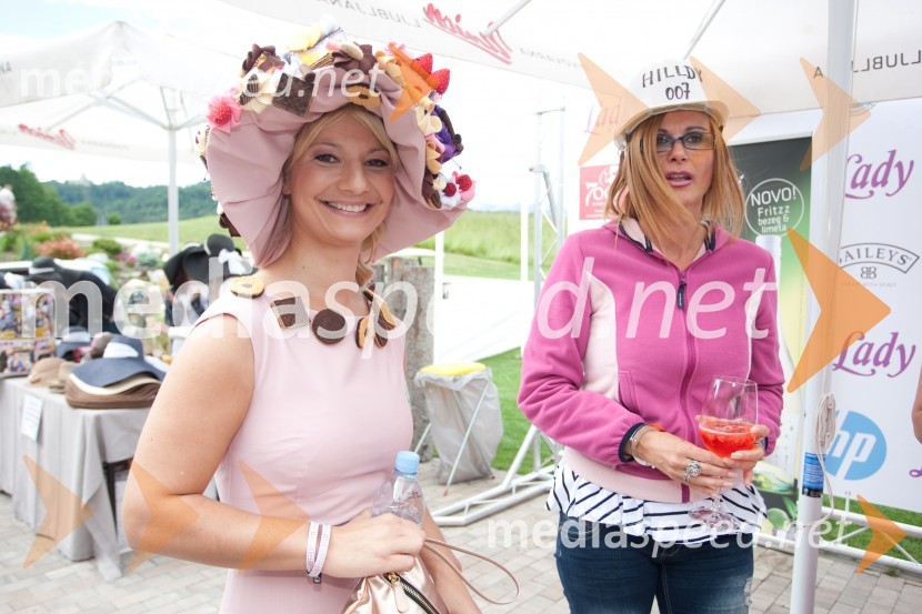 Lady piknik pod klobuki 2013