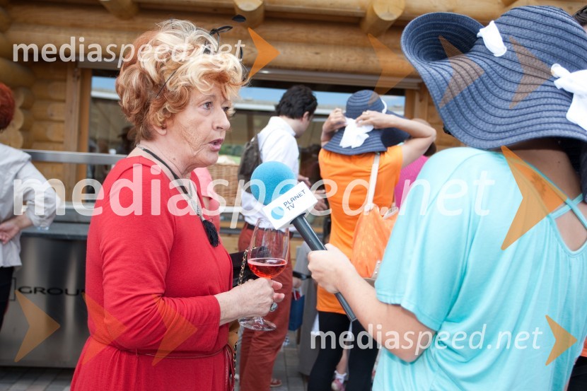 Lady piknik pod klobuki 2013