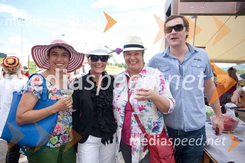 Lady piknik pod klobuki 2013