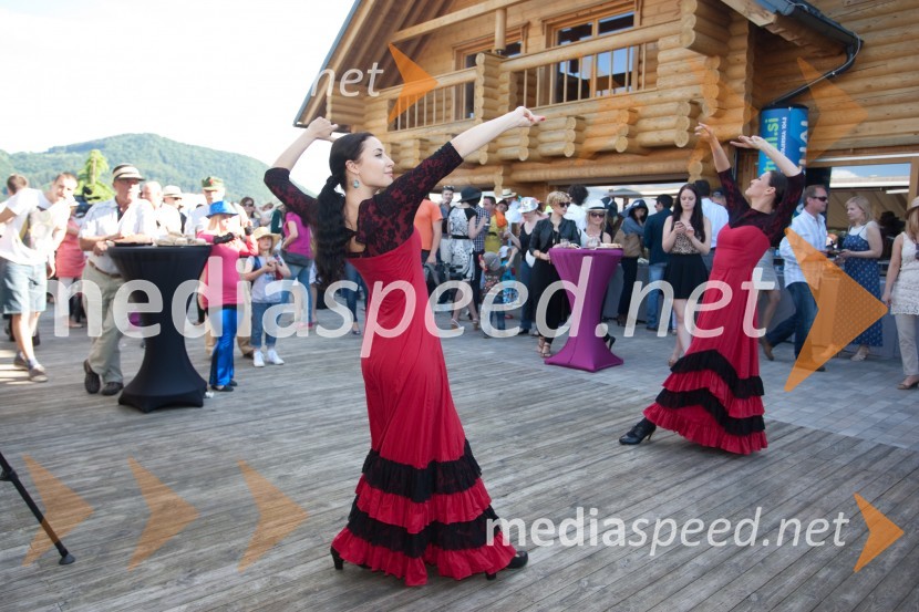 Lady piknik pod klobuki 2013