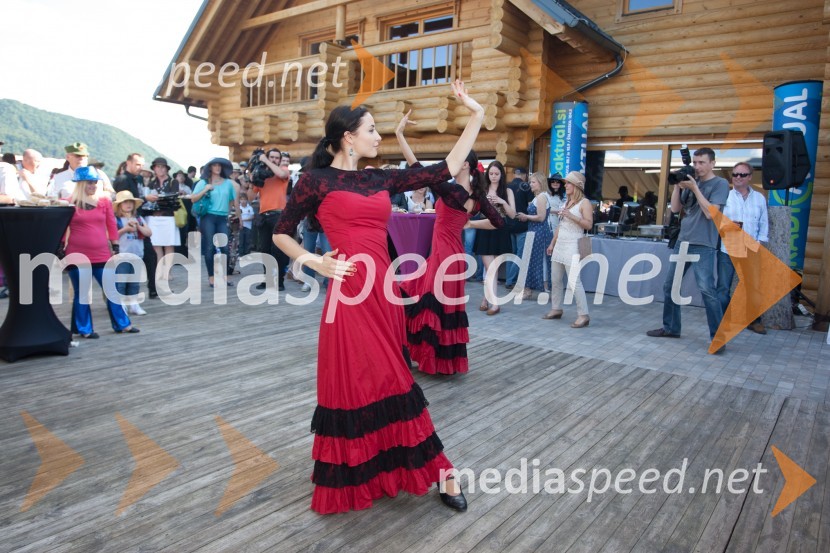 Lady piknik pod klobuki 2013