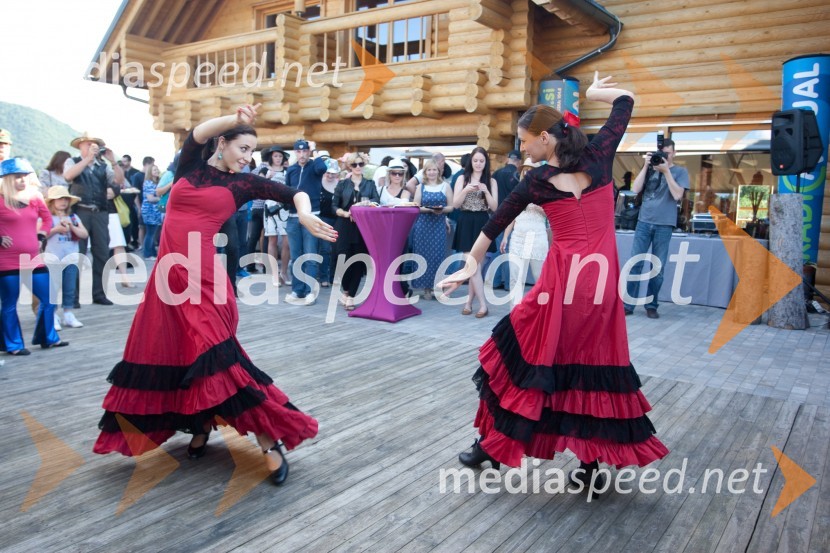 Lady piknik pod klobuki 2013