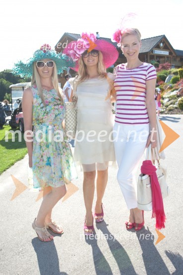 Lady piknik pod klobuki 2013