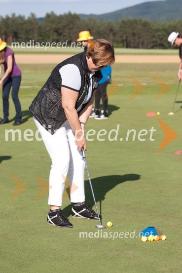 Lady piknik pod klobuki 2013