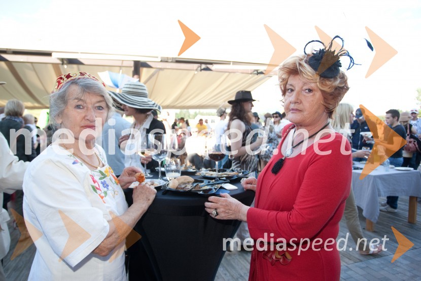 ...; Bernarda Jeklin, nekdanja urednica JaneLady piknik pod klobuki 2013