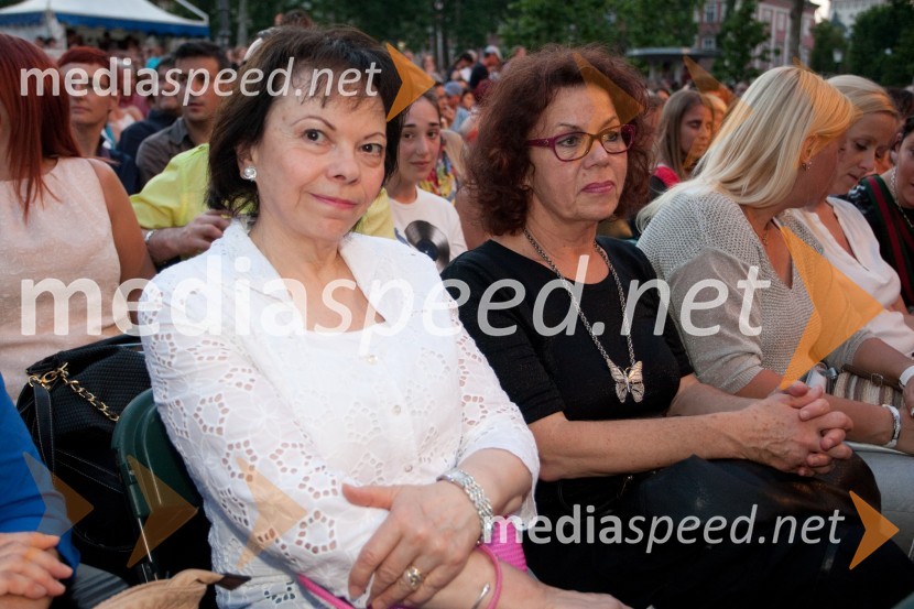 Barbara Miklič Türk; Anita Ogulin, Zveza prijateljev mladineVid Valič in Denis Avdič: Udar po moško, dobrodelna zadnja predstava